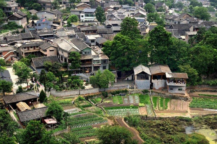 背调无法通过、考公寸步难行，大学生“被法人”几时休？